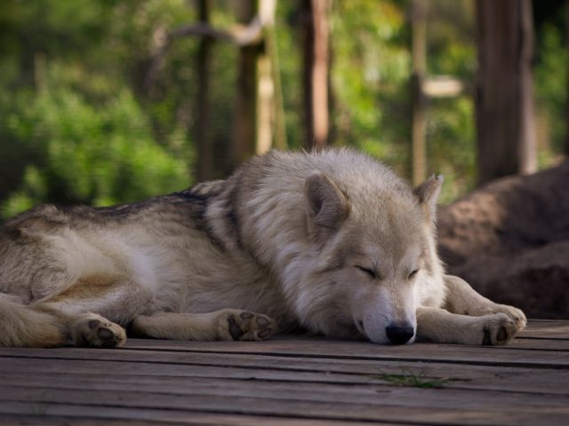 Améliorez la qualité de votre sommeil au quotidien