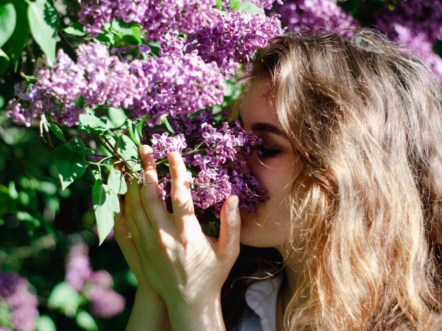 Dès le printemps, soulager vos allergies avec des astuces simples