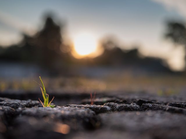 Développer votre résilience mentale pour surmonter les défis